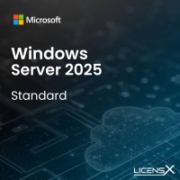 Microsoft Windows Server 2025 Standard